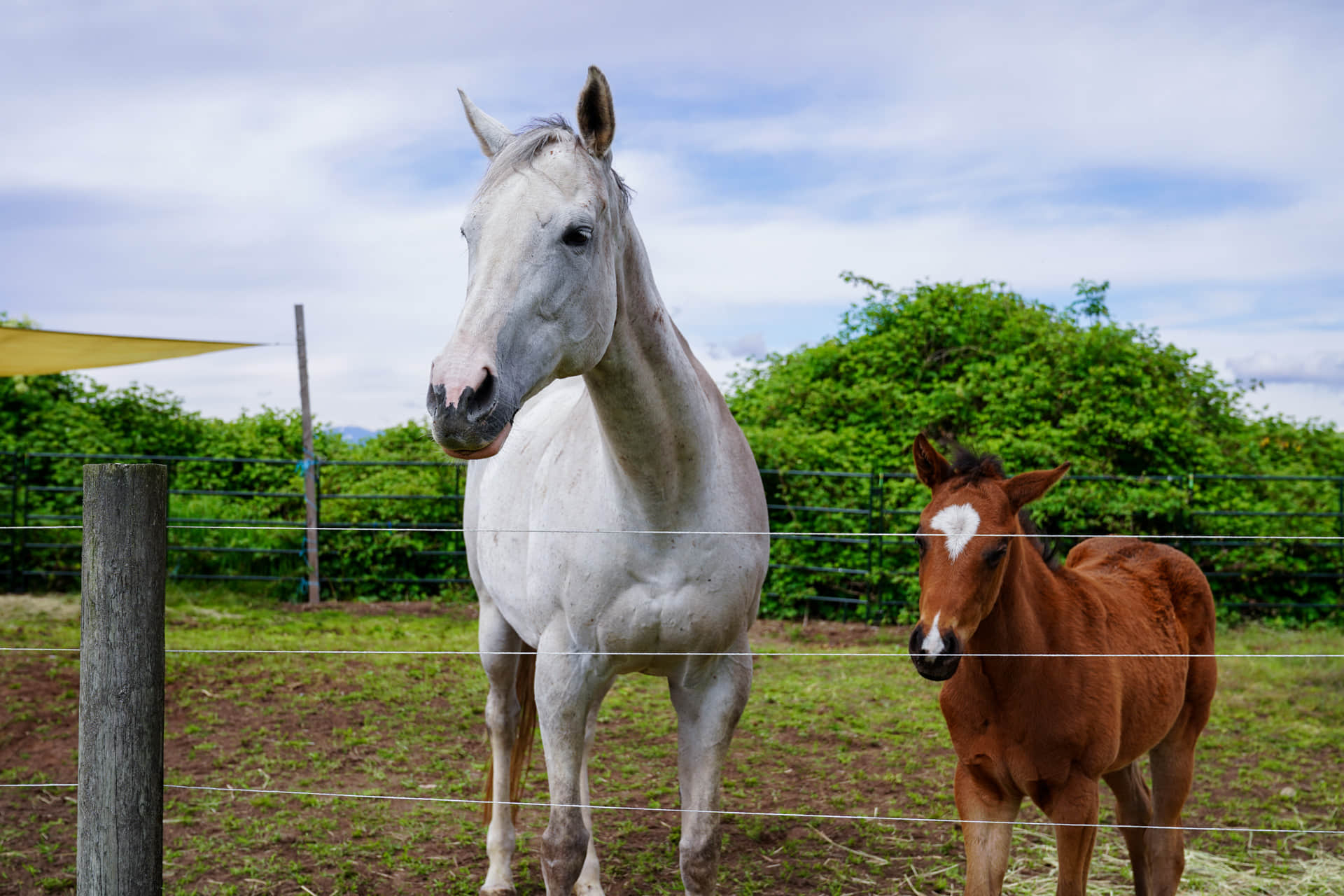 Start your riding today!